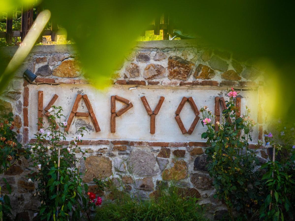 Karyon Apartments Kariófiton Zewnętrze zdjęcie